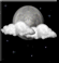 Sunday Night: Partly Cloudy